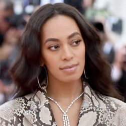 Solange Knowles Net Worth 2022,